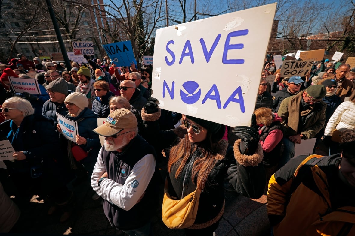 A crowd stands abroad holding marks. 