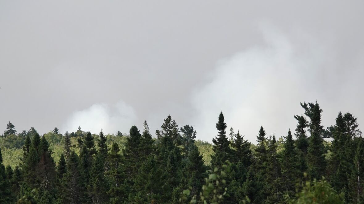 The smoke is visible above the trees.