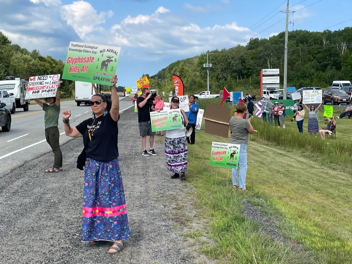 People along the side of a highway holding protest signs.