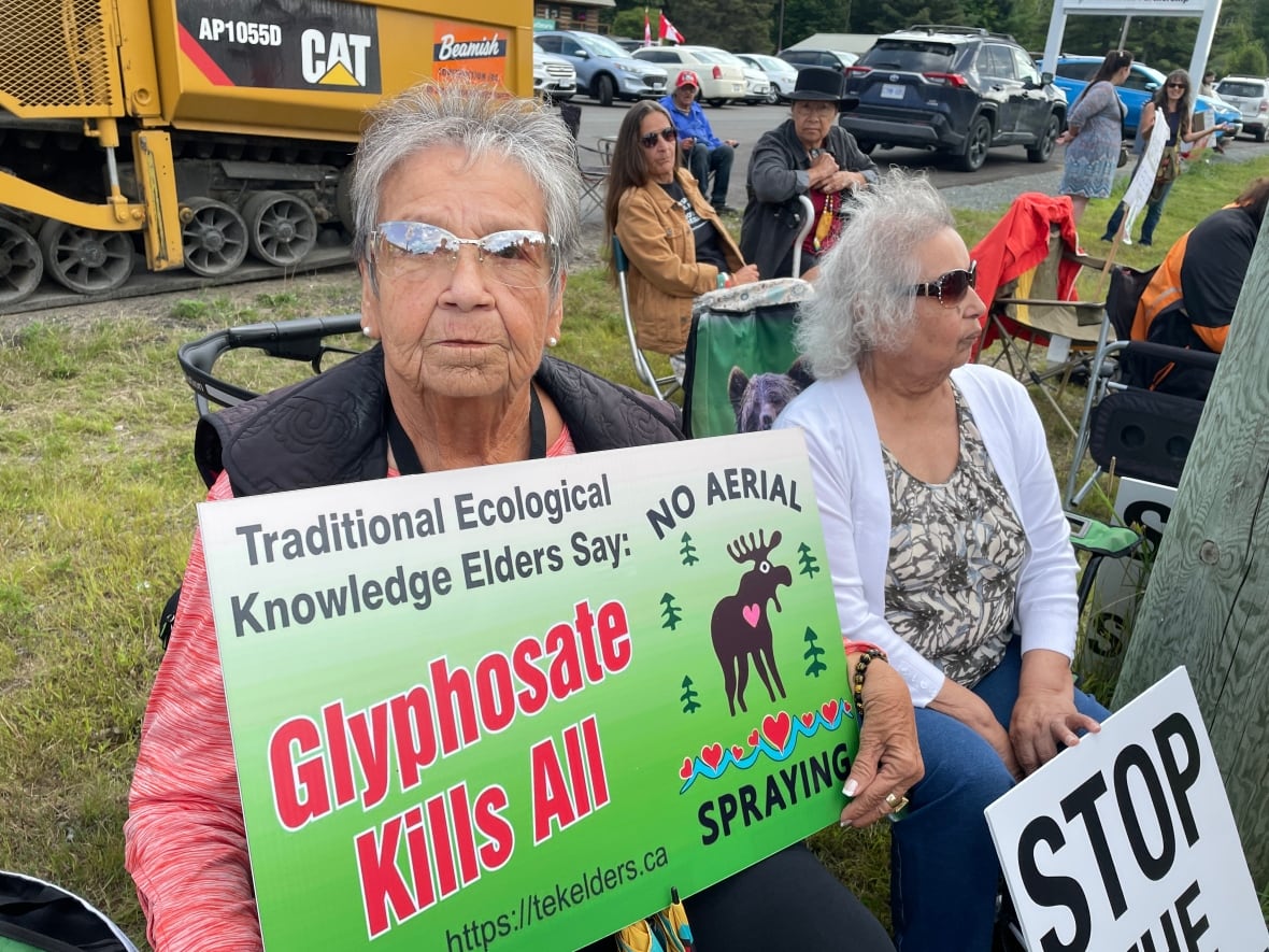 An older woman holding a sign that says glyphosate kills all.
