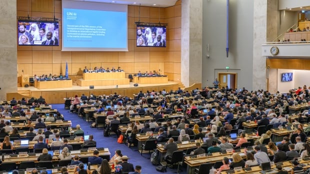 Picture of INC 5.2 in Geneva - everyone is in the meeting room.