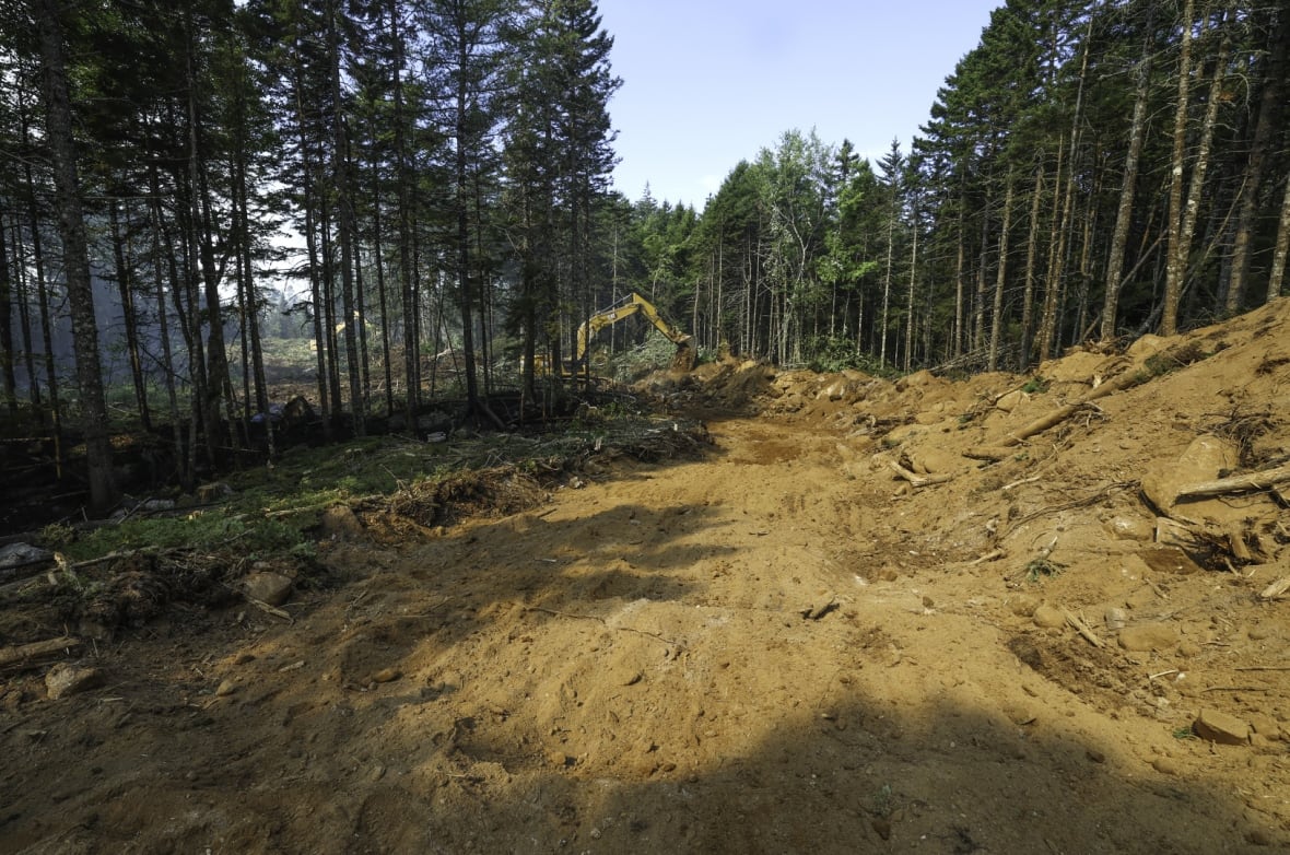 A path of soil is shown in a forest, with a piece of heavy machinery in the background.