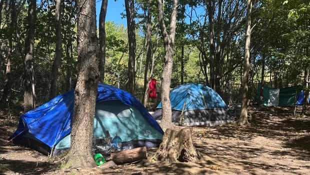 Tents in a forest.