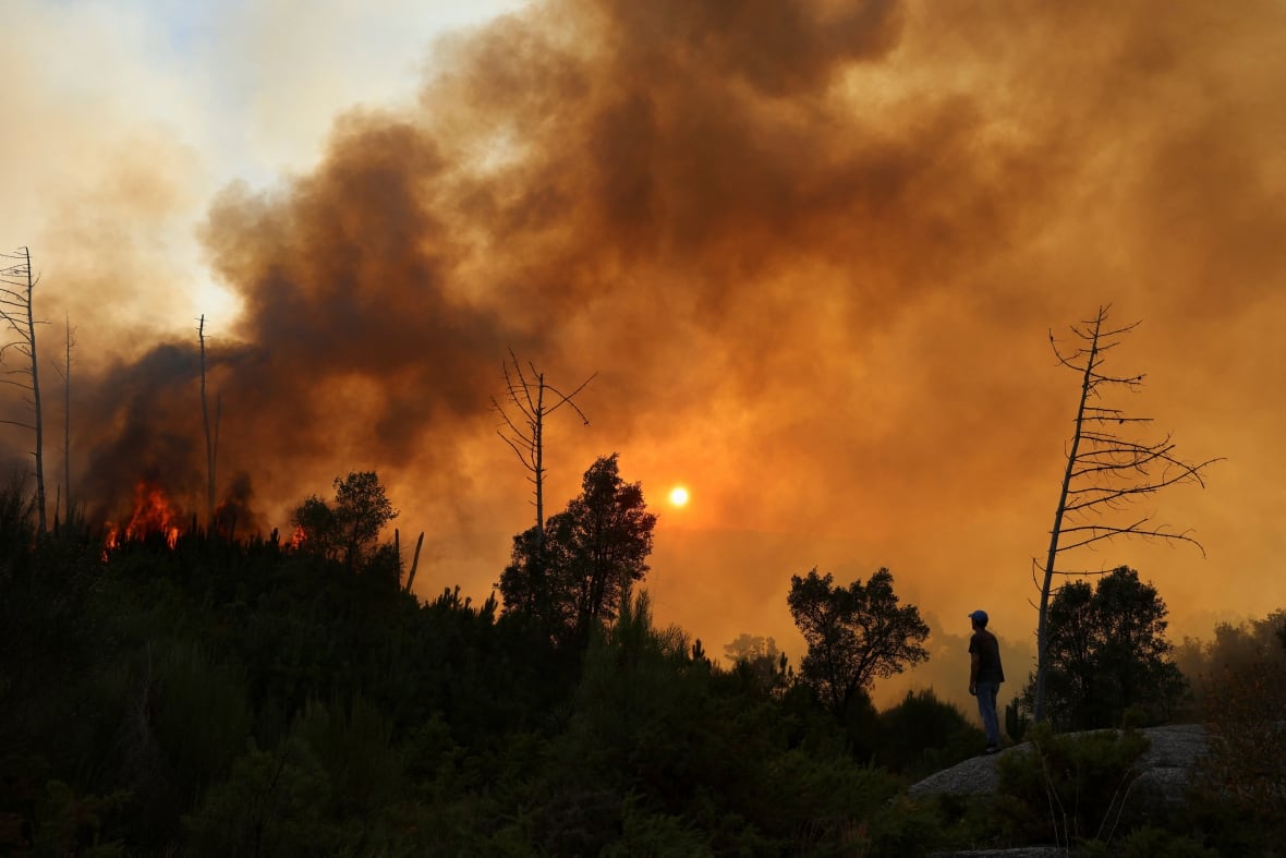 Looks at smoke and flames as it rises from a huge fire in VILAR De Condes, in Ourense Province in Spain.