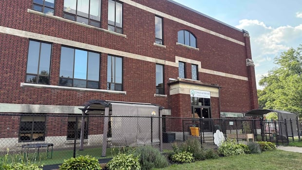 Brantford Daycare Reopens After Rabid Bat Scare: What Parents Need to Know