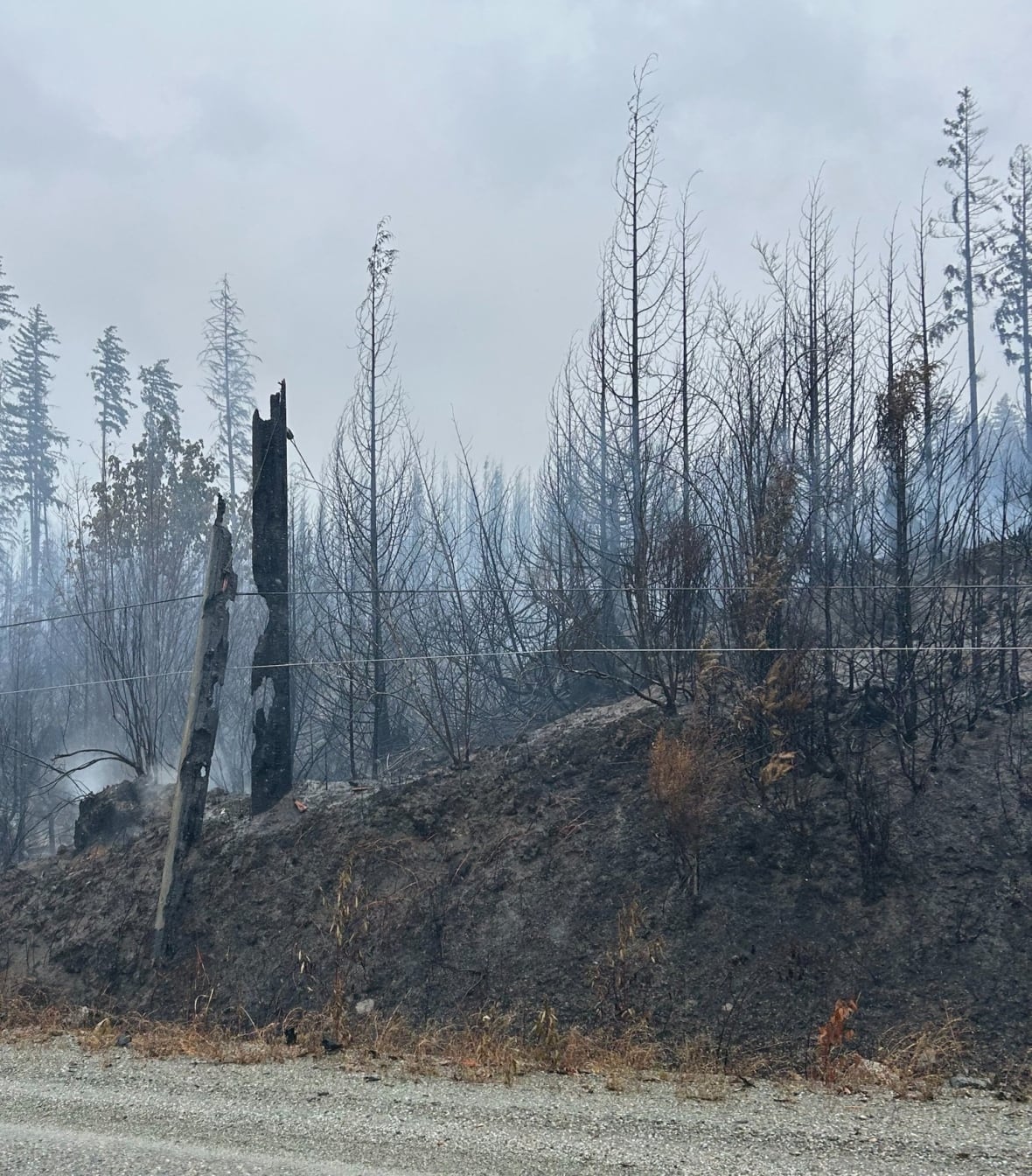 Charred hydro poles and trees smoulder near Bamfield, B.C.