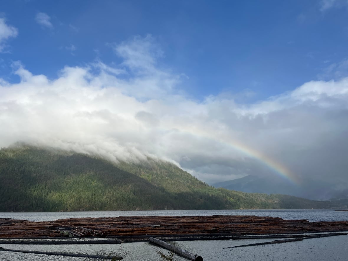 A rainbow over the water and mountains, with logs in the inlet.