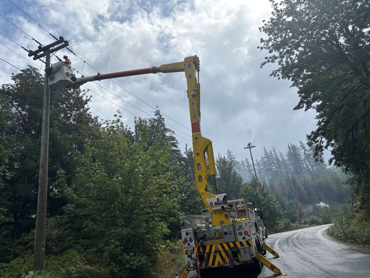 A man in a cherry picker fixes some power lines in a forested area.