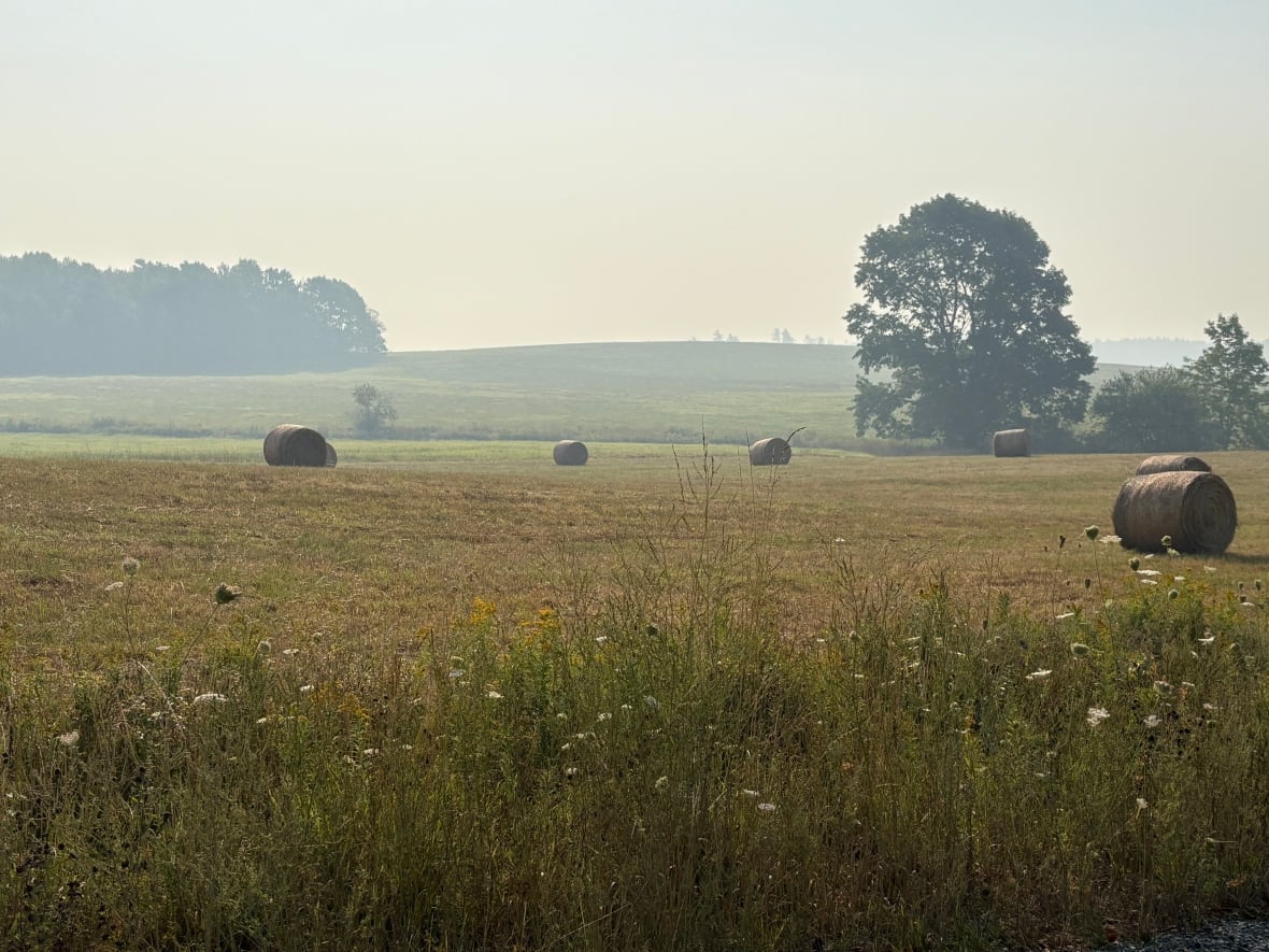  Round bales on a field. The air is grey from the smoke. 