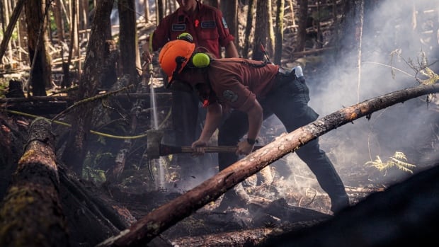 Firefighters smash an axe into the ground and spray water on burned ground.