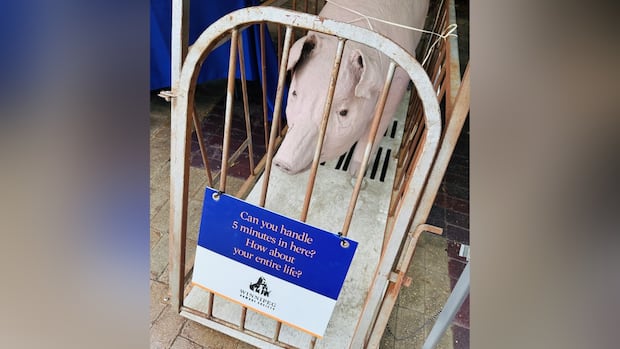 Humane Society asked to leave Hanover Fair over Papier-Maché pig, cage for a human size