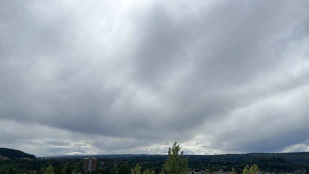 Large clouds were seen in Prince George, B.C., on Aug. 17, 2025, amid a severe thunderstorm watch for the area. Large clouds over trees.
