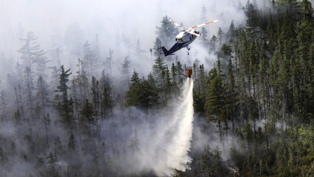 A helicopter drops water onto a forest. Smoke can be seen in the background. 