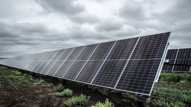Alberta government looks to solar to lower energy costs at correctional facilities