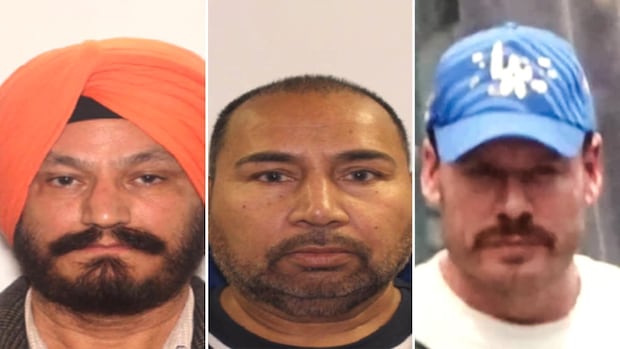 Ont. truckers agree to plead guilty to smuggling cocaine for fugitive ex-Olympian Ryan Wedding | CBC News