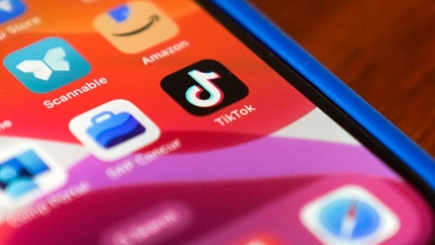 The TikTok logo is seen on the screen of an iPhone.