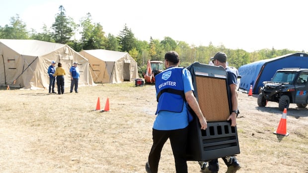 Volunteers show up to support Evacués in the natural fire