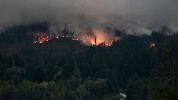 A wildfire burns orange on a heavily treed hillside with smoke billowing above it. 