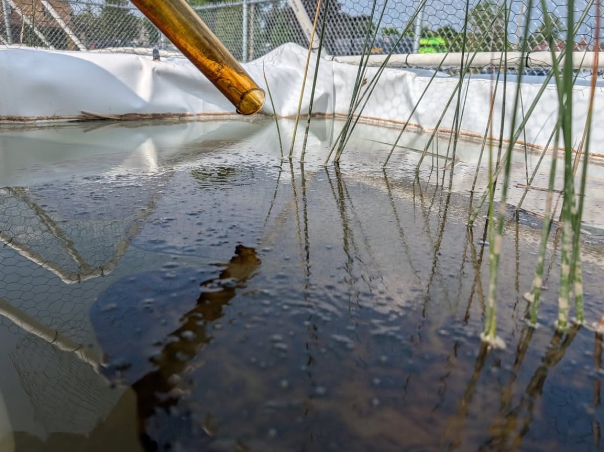 Oil being spilled in a tank.