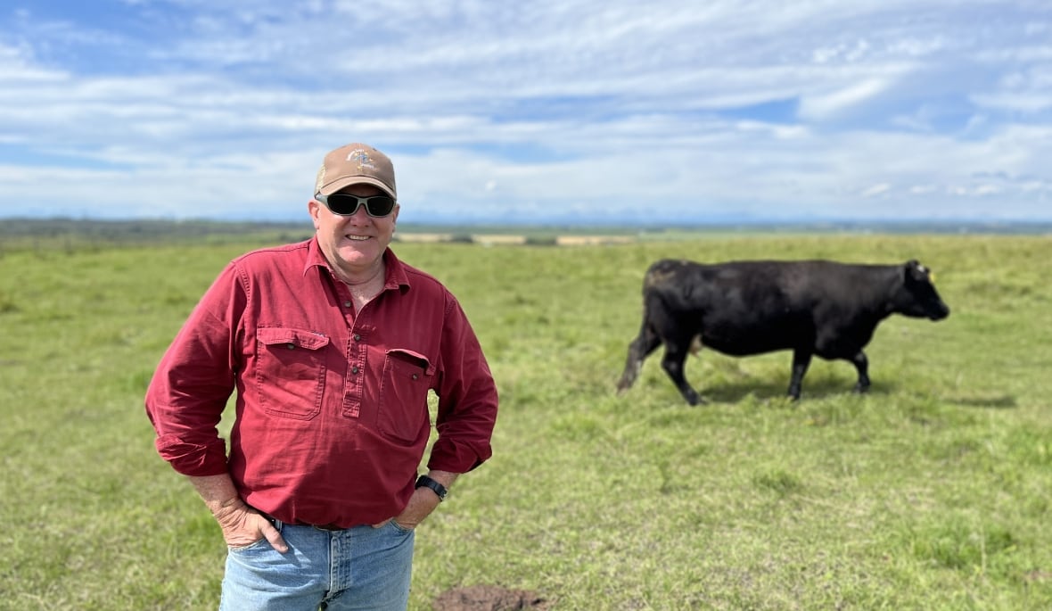 A man wearing a baseball cap, sunglasses, a red button-down shirt and blue jeans poses in a sunny field as a cow runs behind him.