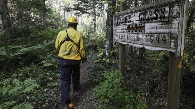 A man in safety gear walks through a wooded area with a sign saying "plane crash' in the foreground.