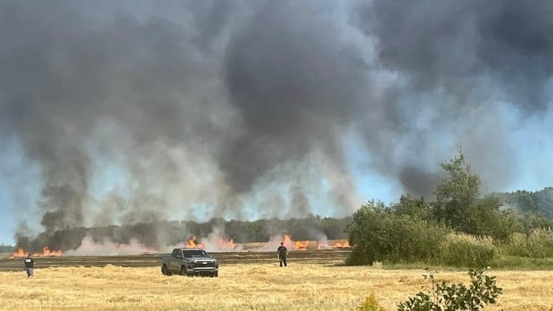 Smoke and fire can be seen on a field filled with straw, a truck and people can be seen.