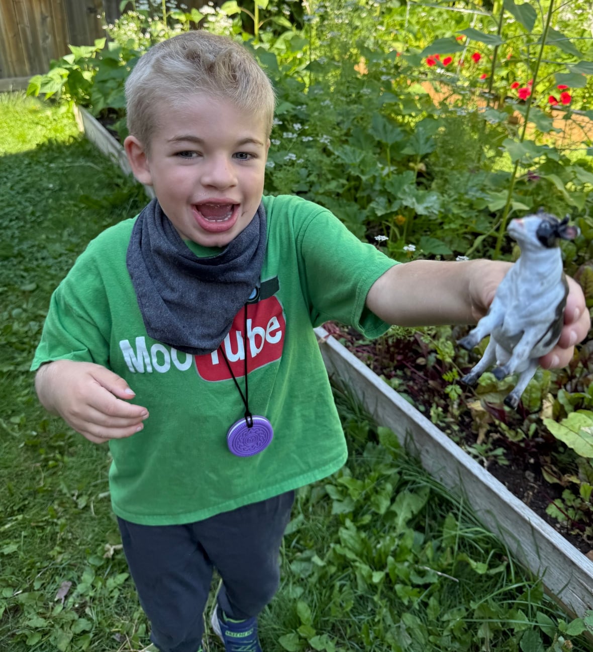 A happy blonde boy in a green shirt and bib hold a toy cow towards the camera in a garden.