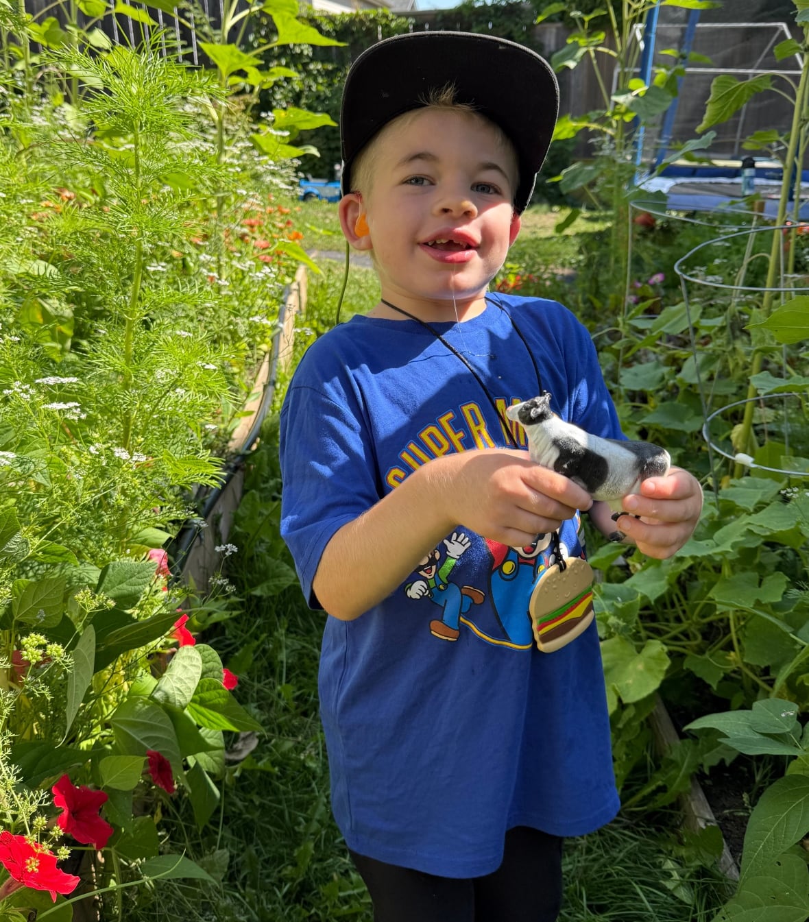 A boy in a garden in a blue shirt holding a cow. 