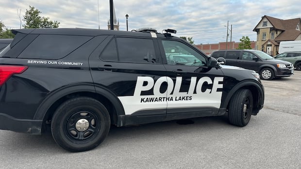 Ontario man charged after confronting intruder inside home allegedly used knife, court docs say | CBC News