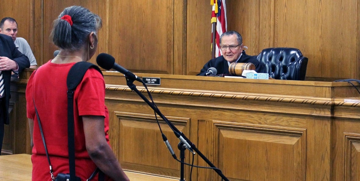 The scene of the courtroom is shown, with a woman with a ponytail and a reddish shirt standing with her back to the viewer and addressing the judge through the microphone. The judge who sits on the office appears to be determined to the situation.