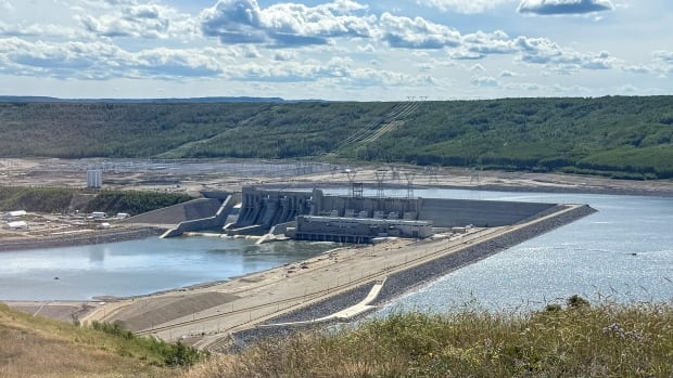 a large earthen dam across a wide river