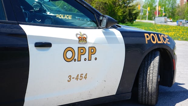 OPP investigating homicide after 25-year-old man found dead in remote area near Torrance, Ont. | CBC News