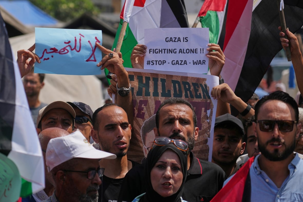 The faces of a crowd of people with marks and flags are displayed.