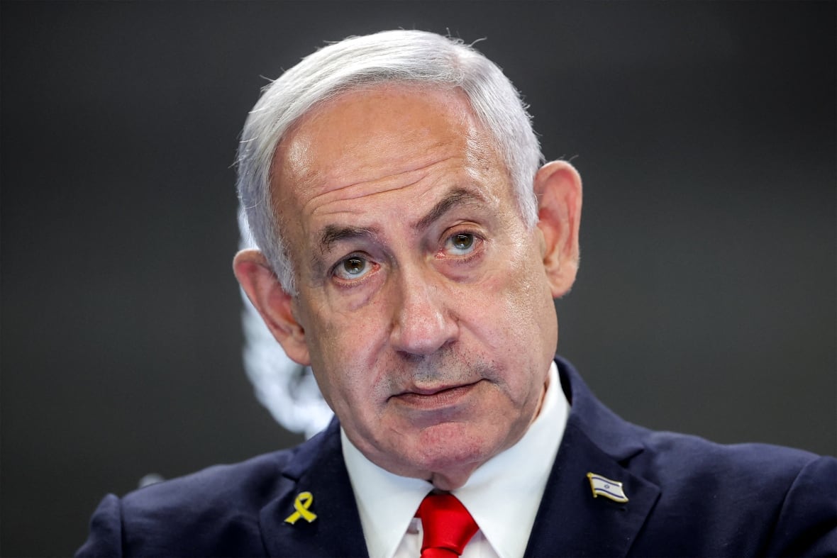A close snapshot of a white hair wearing a sea suit.