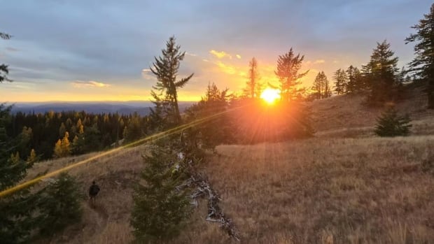 The Save Record Ridge Action Committee is 'disappointed' with a recent decision to allow a magnesium mine to proceed through the permitting process without an environmental assessment. A forest landscape at sunset