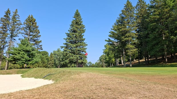 Why the drought is good — or bad — news for some Nova Scotia businesses