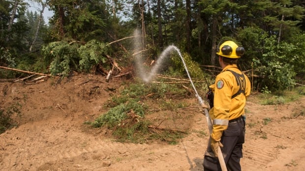 A photo taken on August 13 shows firefighters working to extinguish the Oldfield Road wildfire in the Miramichi area. The fire is classified as contained at 1,403 hectares as of Sunday morning. Firefighter with a hose toward the woods.