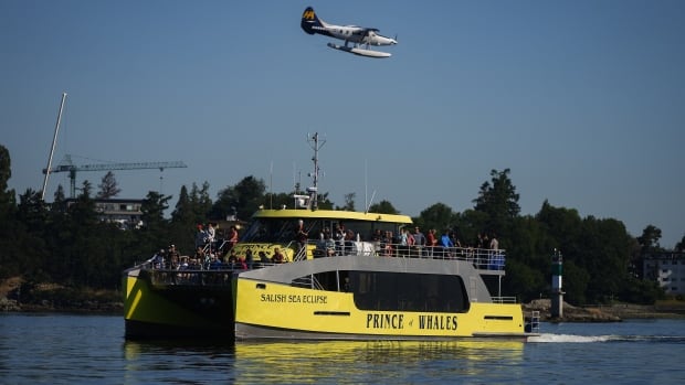 A seaplane passes over a yellow sightseeing boat.