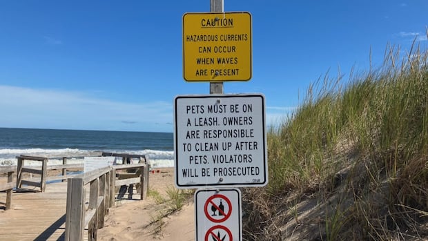 Man, 60, dead in accidental drowning at Melmerby Beach on Friday
