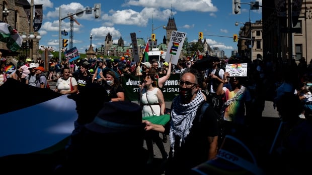 A large crowd of people, some carrying signs, is seen on a downtown street on a sunny day.