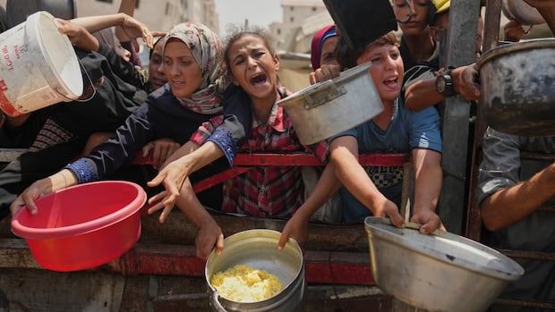Ottawa says Israel is ‘failing’ in its obligation to prevent famine in Gaza