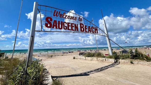 Supreme Court decides today whether it'll hear treaty dispute over Ontario beach in surprise sign switch | CBC News