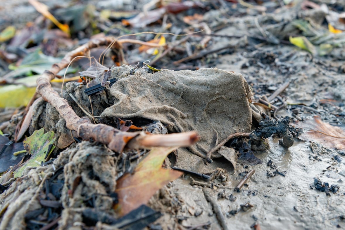 A picture of a thick wet wet stuck in the mud surrounded by other garbage.