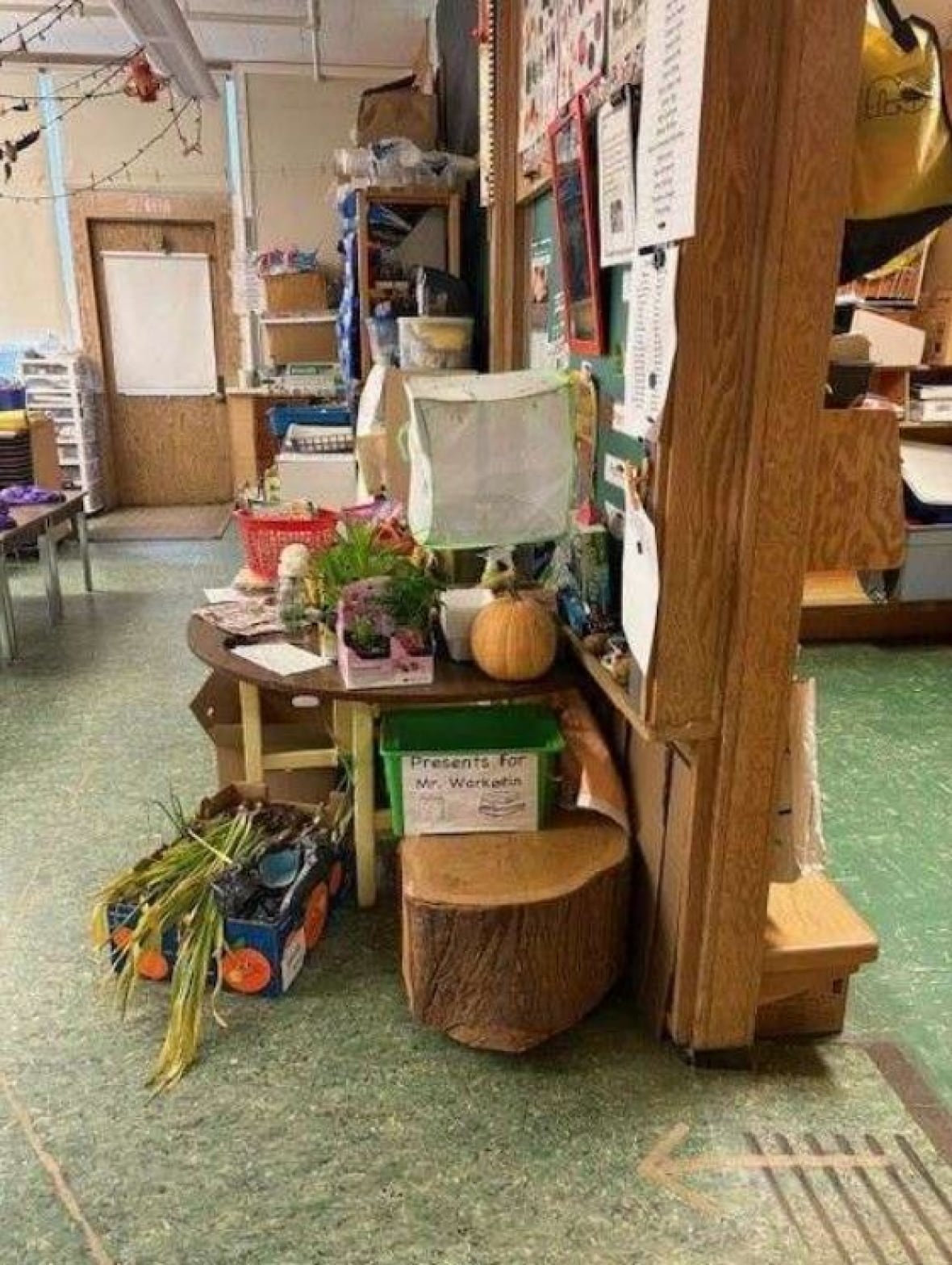 An email between pest control staff and operations management at the VSB included this picture of a cluttered classroom that has had a continual problem with mice. Note the green onions.
