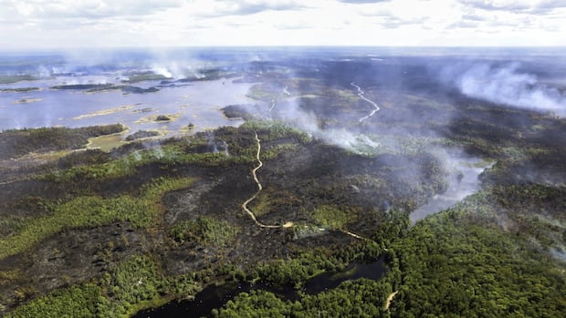 Firefighters gain ground on Long Lake wildfire