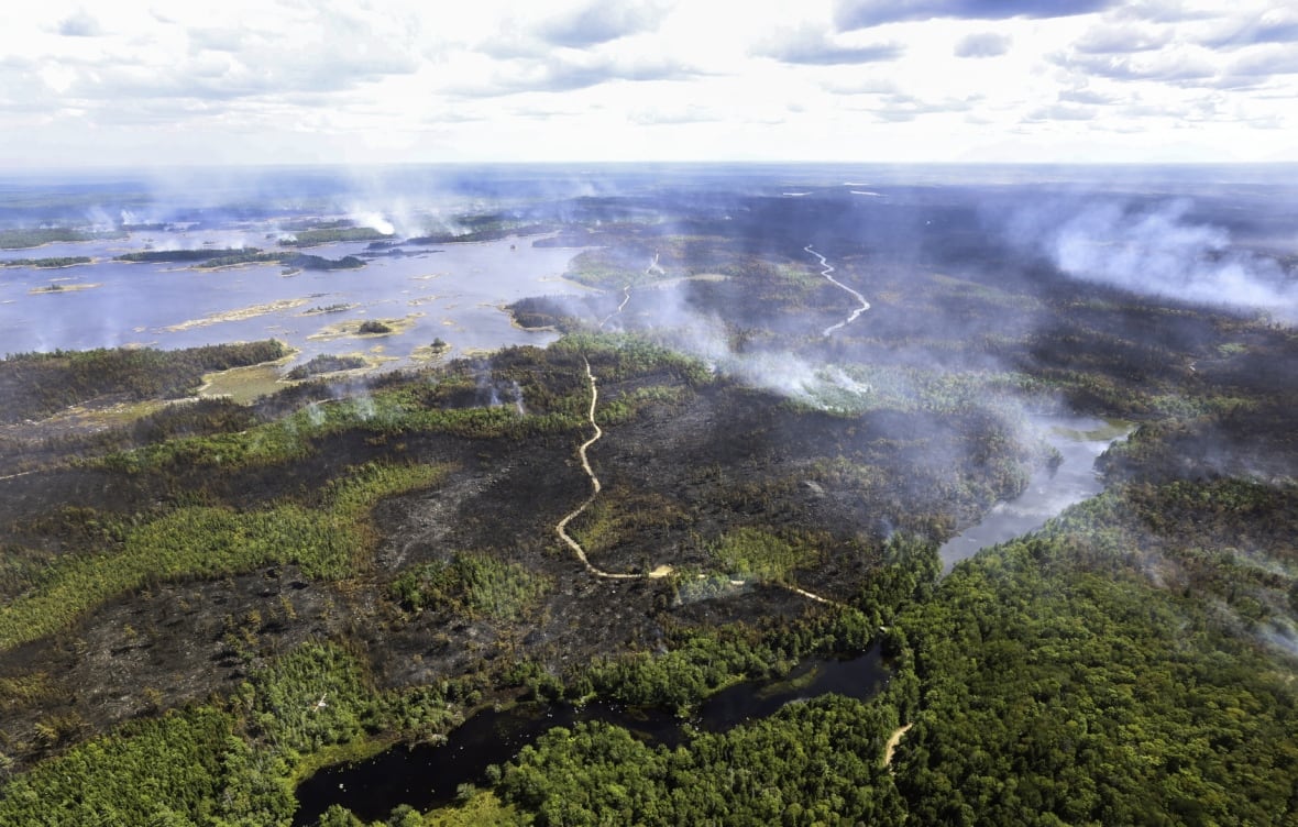 Aerial view of forest fire