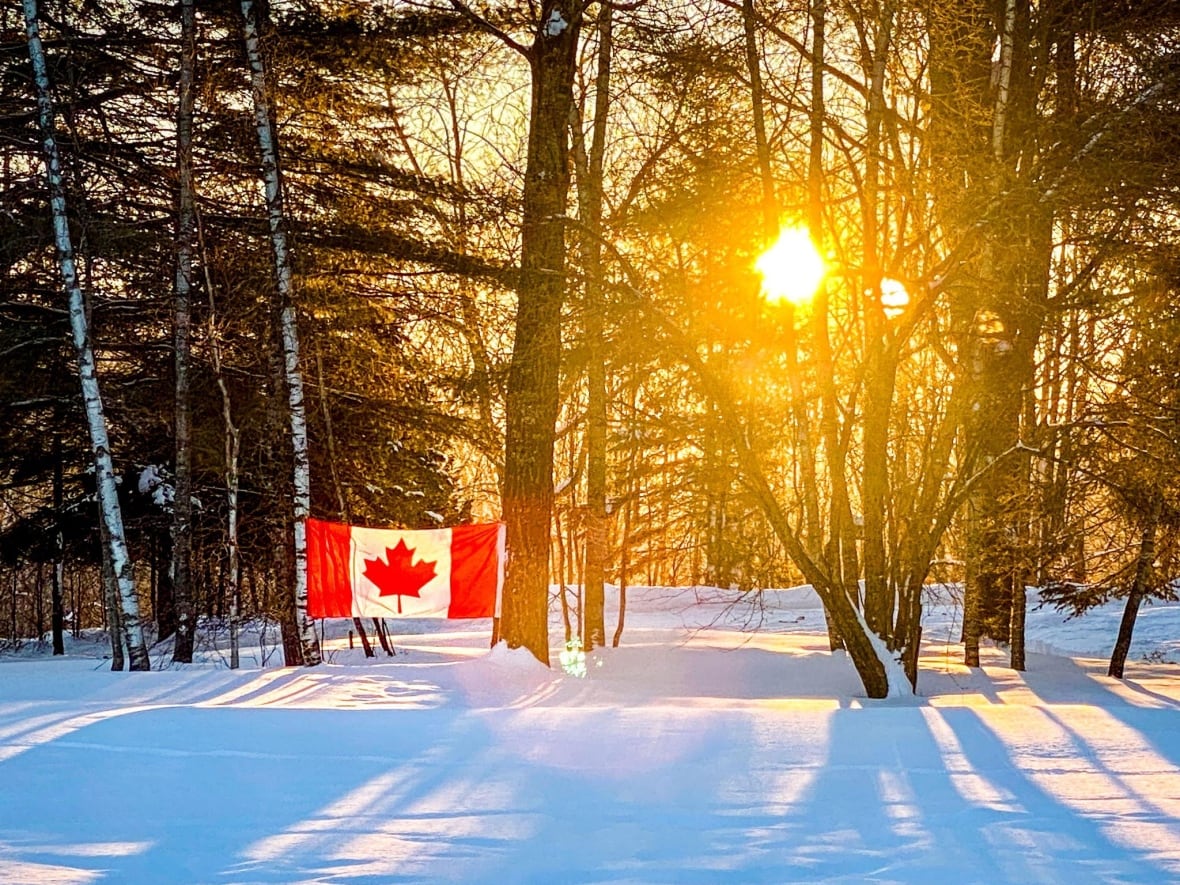 A Canadian flag strung between two trees.