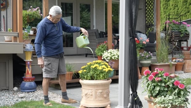 A man with white-grey hair waters flowers in his backyard with a watering can. 