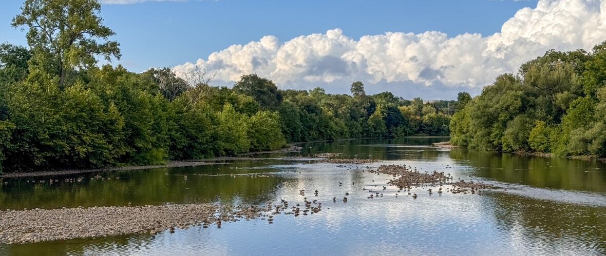Thames River water levels run low following unusually dry August