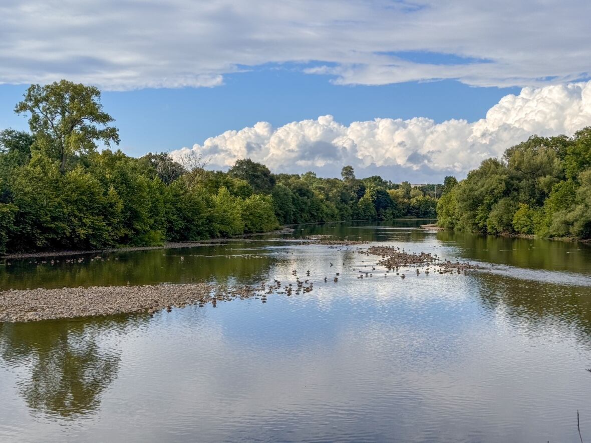 In order to get back to normal water levels, a significant amount of precipitation will be needed, Heagy explained, adding that she's hopeful to see a few days of steady rainfall as the weather changes heading into the fall. 